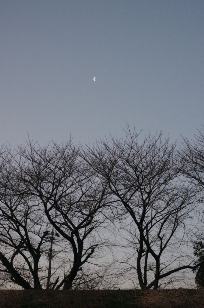 南の空に朝の月