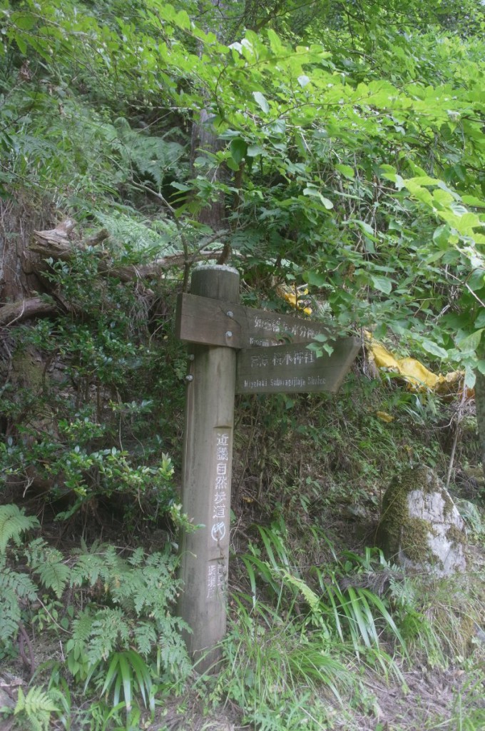 喜佐谷の登山道入り口