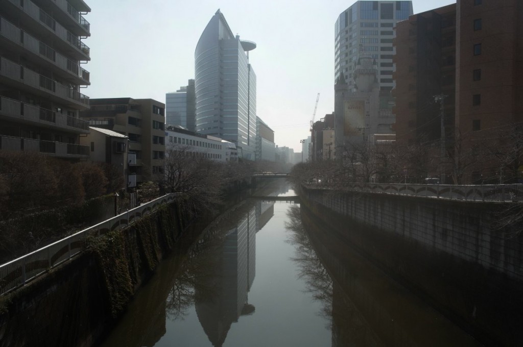 目黒川。この日の東京は１８度まで気温が上昇。花粉が目と鼻にきた。