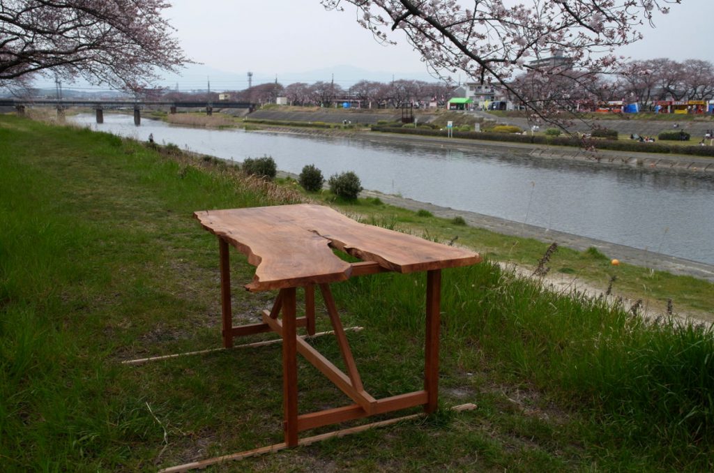 ３分咲き程度の海蔵川のほとりで。