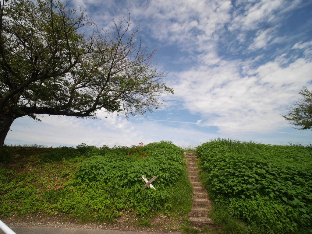 KOWA PROMINAR 8.5mm F2.8　LUMIX DMC-GX7 ９月２５日