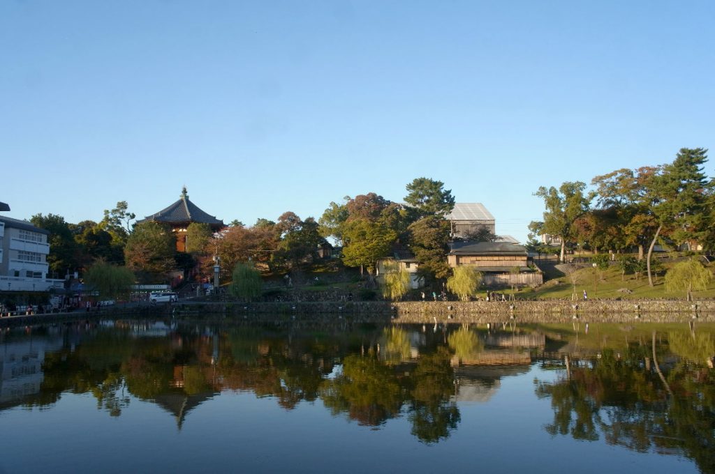 良い天気でした。猿沢池から興福寺の眺め。